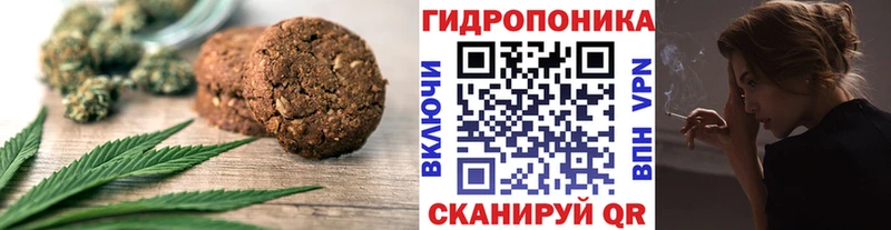 Купить закладки  Знаменск  Печенье с ТГК марихуана 