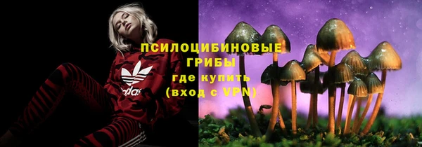 эйфоретик Кулебаки
