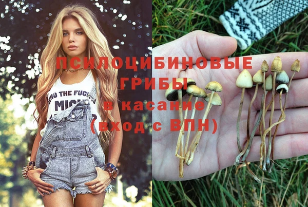 круглые Кукмор
