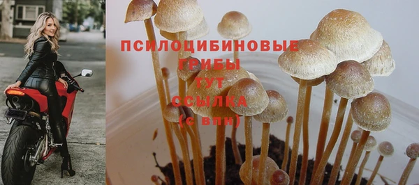 круглые Кукмор