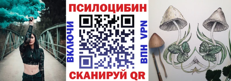 Псилоцибиновые грибы Psilocybine cubensis  Купить  Знаменск 