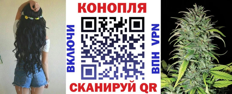 Бошки Шишки гибрид Знаменск